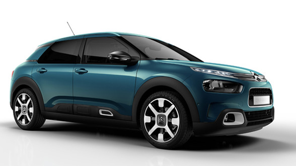 C4-cactus-2 C4-cactus-2