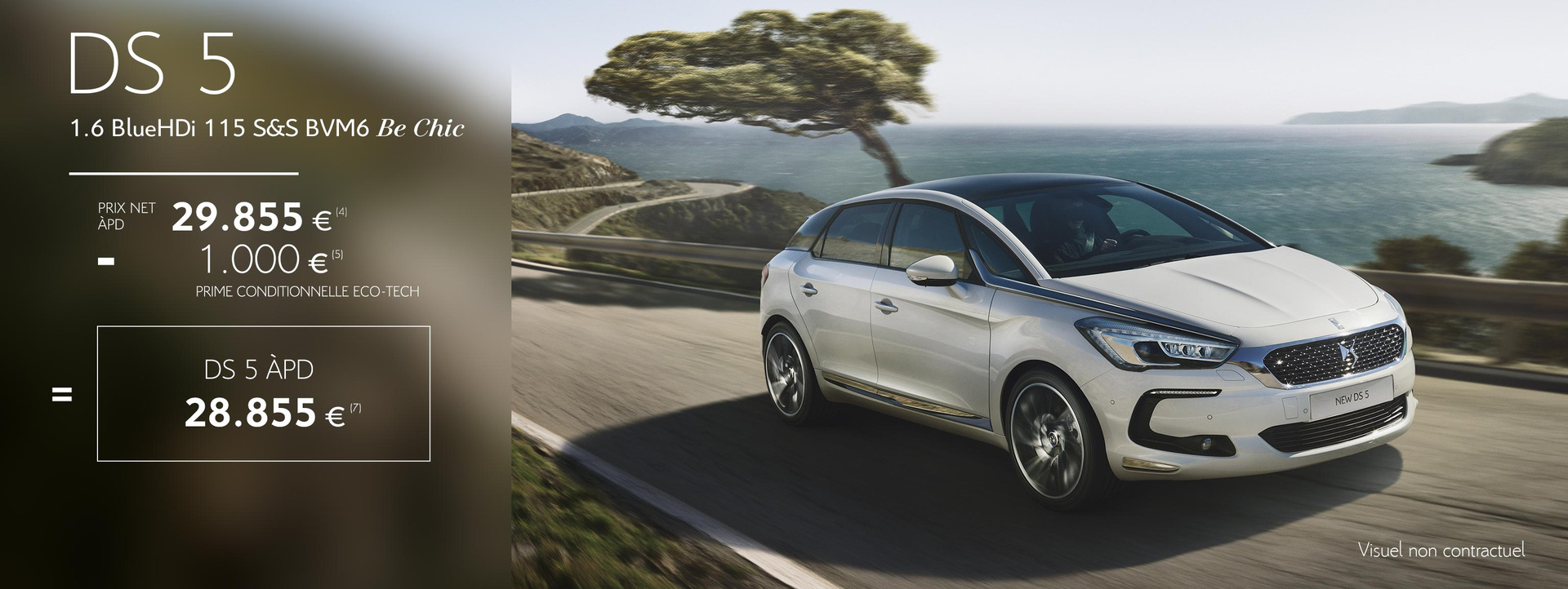 DS5 DS5